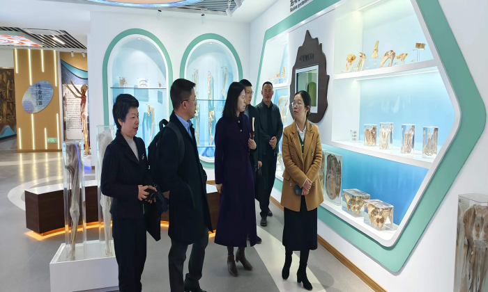图片 2.png