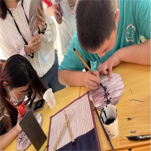 图片8.jpg