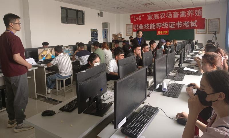 聚力1 x证书考试 共促学生新发展 ——生物工程学院顺利完成畜牧兽医专业2024年“1 x”职业技能等级证书考核工作