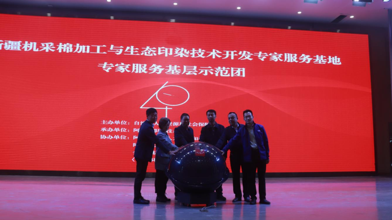 图片9.png